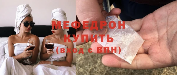 индика Бородино